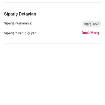 Yemek Sepeti Uygulama Hatası