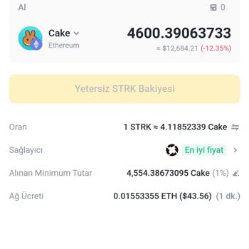 PancakeSwap Coin Satma Hatası