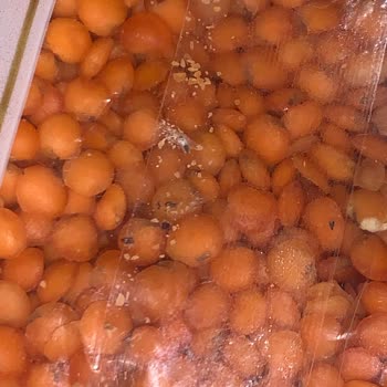 Damla Bakliyat Paketli Üründe Böcek Sorunu