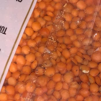 Damla Bakliyat Paketli Üründe Böcek Sorunu