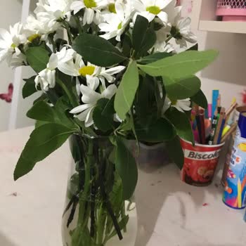 Çiçek Market Evliliği Bitirecektin Neredeyse