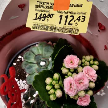 Migros'ta Kasiyerle Yaşadığım Sinir Harbi