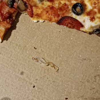 Pizza Hut Markasında Yanık Plastik