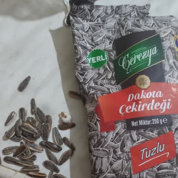 A101 Çekirdekte Salyangoz Kabuğu