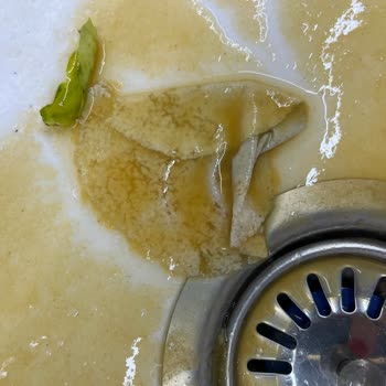 Cappy Meyve Suyu İçinde Bilinmeyen Bir Parça