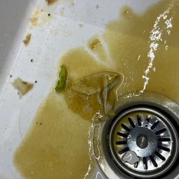 Cappy Meyve Suyu İçinde Bilinmeyen Bir Parça