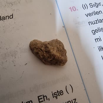 Vatan Gıda Yuvam Barbunya Pilaki Taş Çıktı