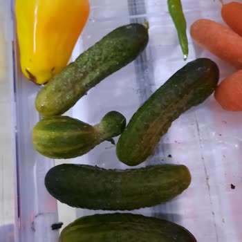 Beko Buzdolabı Hayal Kırıklığı