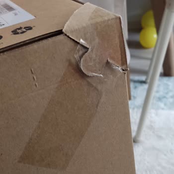 Dyson Süpürge Ürün Numarası Zaten Var Uyarısı