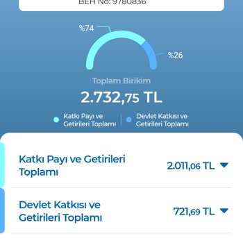 Anadolu Hayat Emeklilik İle BES İptal Etme