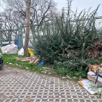 Osmangazi Belediyesi Hamitler Mahallesi Çevrede Çöp Yığıntıları❗️