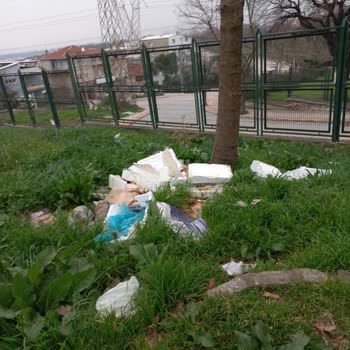 Osmangazi Belediyesi Hamitler Mahallesi Çevrede Çöp Yığıntıları❗️
