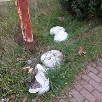 Osmangazi Belediyesi Hamitler Mahallesi Çevrede Çöp Yığıntıları❗️