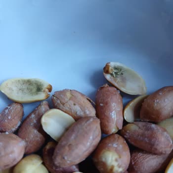 Simbat Kuruyemiş Küflenmiş