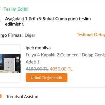 Evdemo Lojistik Ürünüm Teslim Edilmedi