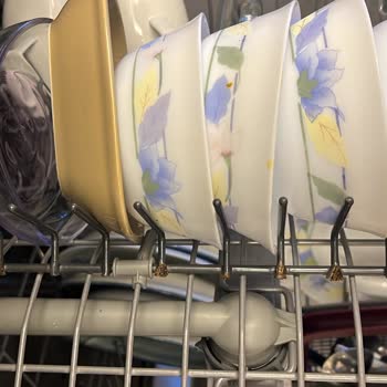 Arçelik Dishwasher Quality Fades After 5 Years (Mold & Rust)