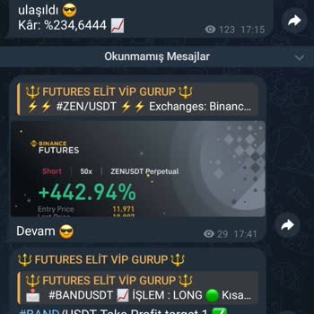 ŞahıŞifa Kripto Ticaret Vaadiyle Kaybedilen 16.800 TL