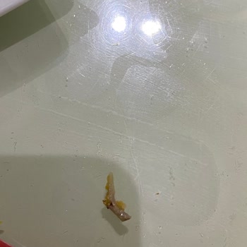 BİM'den Alınan Erpiliç Markalı Nugget