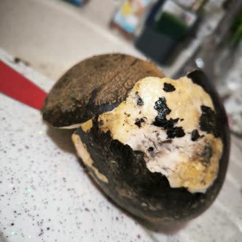 Migros'un Reyondan Kaldırmadığı Çürümüş Hindistan Cevizi