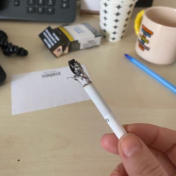 Chesterfield Sigara Sorunu