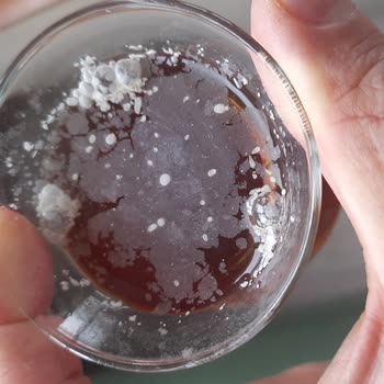 Schafer Çaycı Makinesi Kireç Oluşumu Sorunu