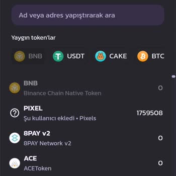 Pancakeswap Yatırımcıların Mağduriyeti: Sahte Coin Tehlikesi