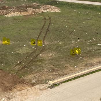 Bursa Yenişehir Belediyesi Köpeklerin İnsanlara Saldırması Ve Tehlike Arz Etmeleri