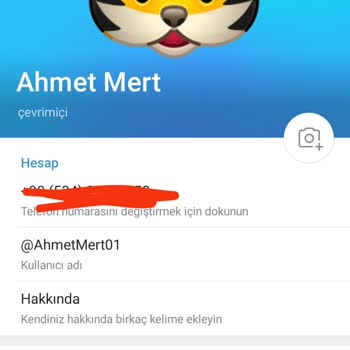 WhatsApp Telegram Üzerinden Görev Adı Altında Paranızı Tekrar İade Ettiririm