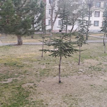 Melikgazi Belediyesi Cimde Çocuklar Futbol Oynuyor Ve Camim Kırılıyor