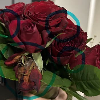 ÇiçekSepeti Çürük, Çok Küçük, Özensiz Güller Gönderildi