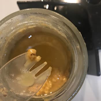 Fellas Fıstık Ezmesi Kurtlanması