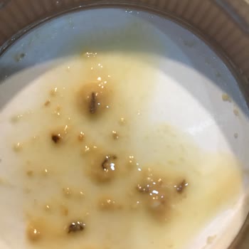 Fellas Fıstık Ezmesi Kurtlanması