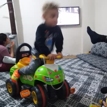 TARSİM Telef Olan Hayvanlarım İn Sigortanın Karşılaşması