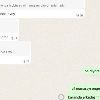 Nurmelek.com Sinir Ettiniz Kelimeme Karşılık Karşı Tarafın Sebepsiz Davranışı