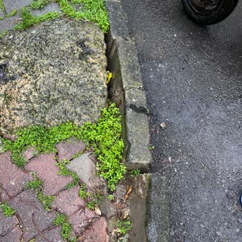 Şişli Belediyesi Kaldırım İnişi Araba Park Engeli