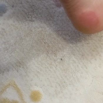 Kalitesiz Bot, Mağduriyet Ve Boyner Hüsranı