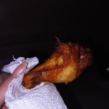 Tüyü Üzerinde Duran TAVUK (ERPİLİÇ)