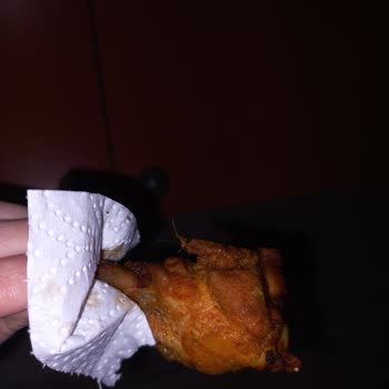 Tüyü Üzerinde Duran TAVUK (ERPİLİÇ)