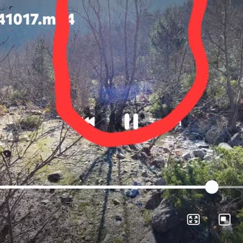 Samsung A73'ten Şikayetim Var
