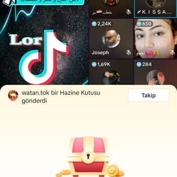 TikTok Tiktokun Sandık Sorunu