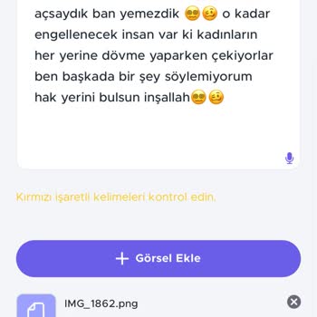 TikTok Tiktokun Sandık Sorunu