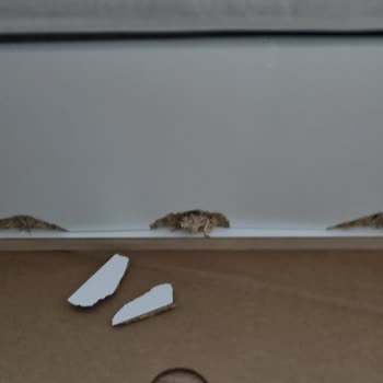 IKEA Koltuk Teslimatında Beklenmedik Kırıklar