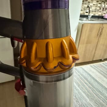 Dyson Gövde Kenarlarının Soyulması