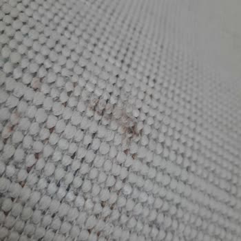 Halıname Ümraniye'deki Mağazadan Defolu Halı Hayal Kırıklığı