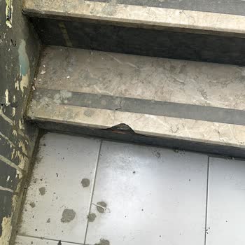 İbb Kendi Alanıma Zarar Verdi