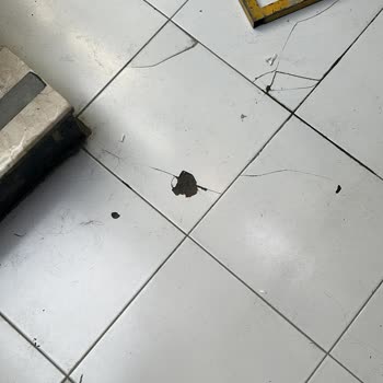 İbb Kendi Alanıma Zarar Verdi