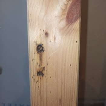 IKEA Ürünlerde Tahta Kurusu Var