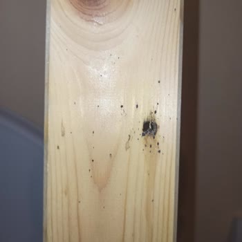 IKEA Ürünlerde Tahta Kurusu Var