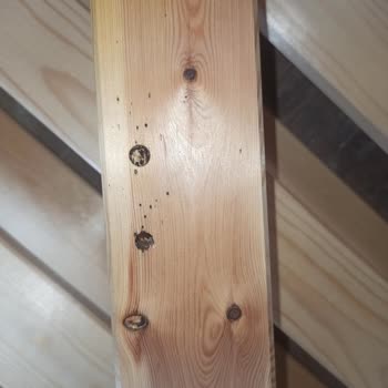 IKEA Ürünlerde Tahta Kurusu Var