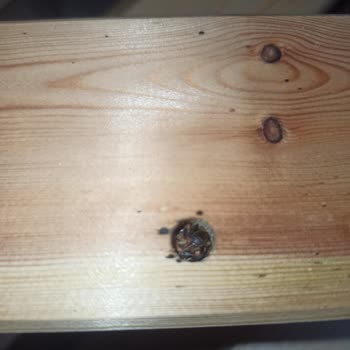 IKEA Ürünlerde Tahta Kurusu Var